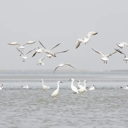 Hébergement de vacances Hameau Du Pêcheur Le Crotoy