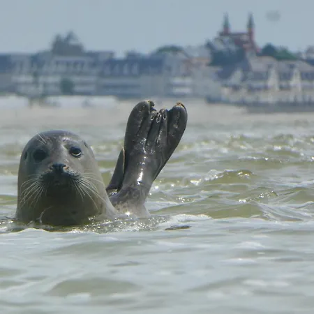 Hameau Du Pêcheur Hébergement de vacances *